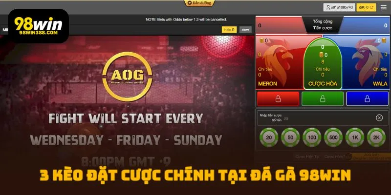 3 kèo đặt cược chính tại Đá Gà 98WIN