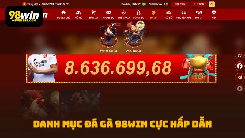 Giới thiệu vài nét về Đá Gà 98WIN