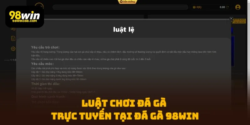 Luật chơi đá gà trực tuyến tại Đá Gà 98WIN
