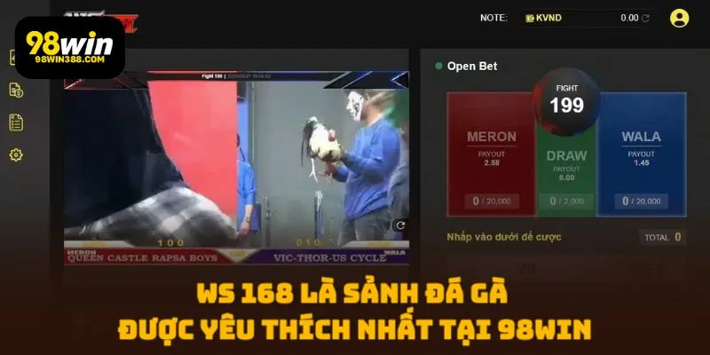 WS 168 là sảnh đá gà được yêu thích nhất tại 98WIN