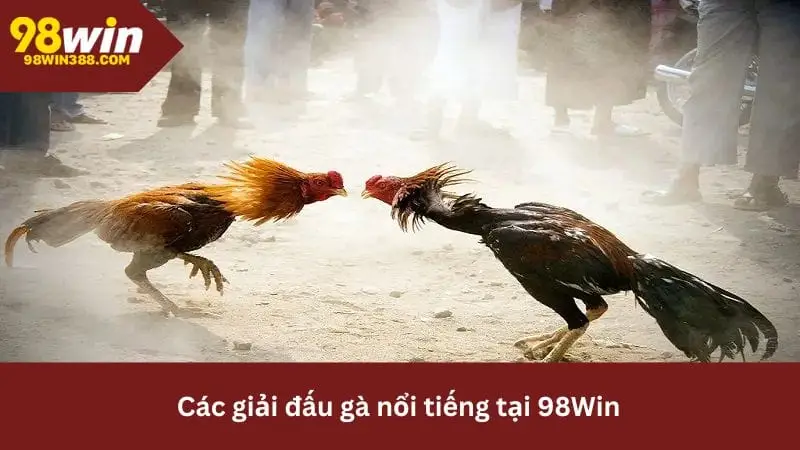  Thường xuyên tổ chức và phát sóng trực tiếp