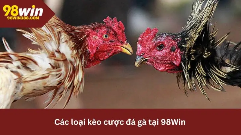 Trải nghiệm các loại kèo cược quốc tế phong phú