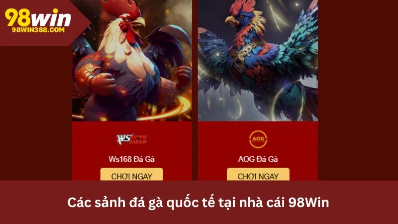 Các sảnh đá gà nổi bật tại 98Win