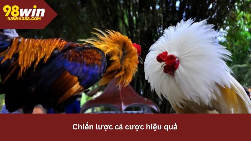 Chiến lược chơi tăng tỷ lệ thắng tại 98win