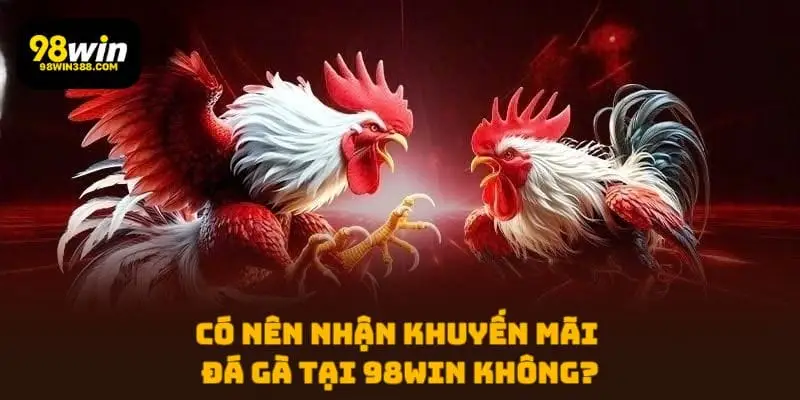 Có nên nhận khuyến mãi đá gà tại 98WIN không?