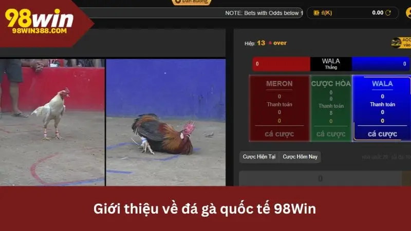Trải nghiệm đá gà quốc tế tại nhà cái uy tín