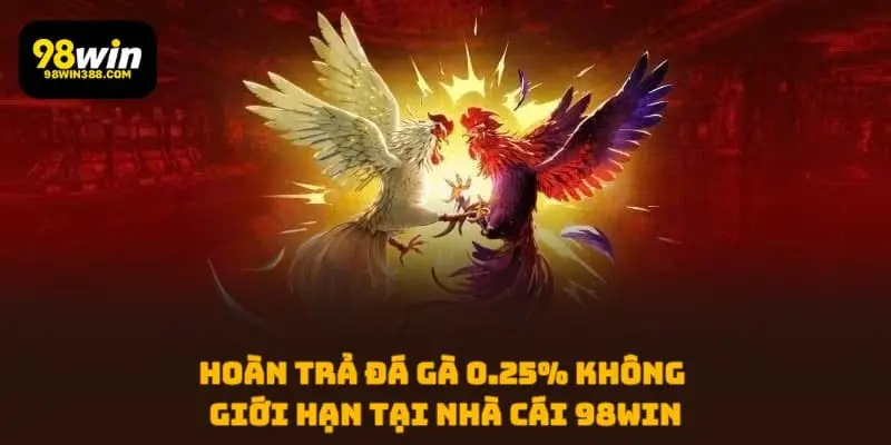 Hoàn trả đá gà 0.25% không giới hạn tại nhà cái 98WIN